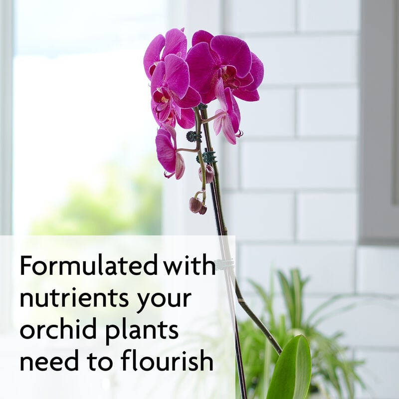 Miracle-Gro® Water Soluble Orchid Food image number null
